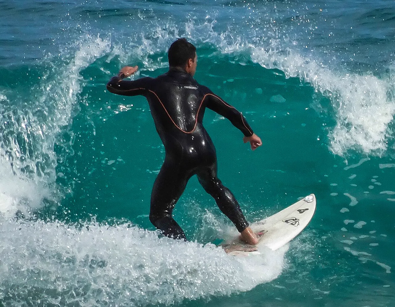 Surf & Olas